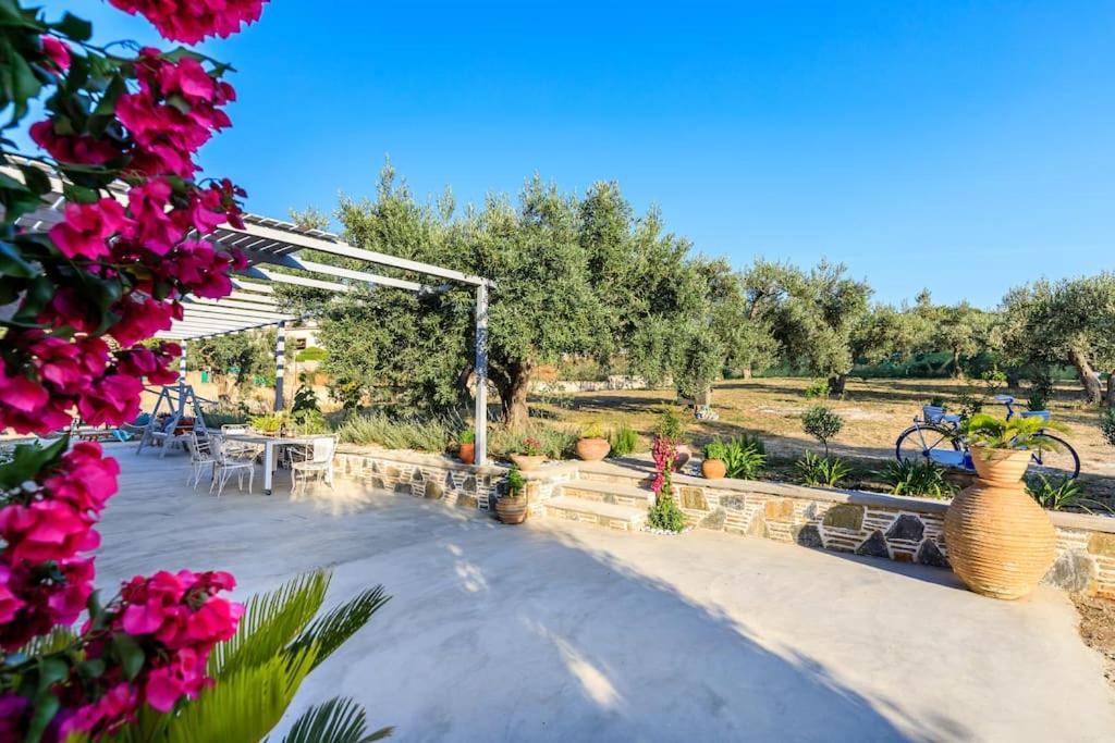 Skopelos Blue Heaven Pool Villa In Olive Grove Exterior foto