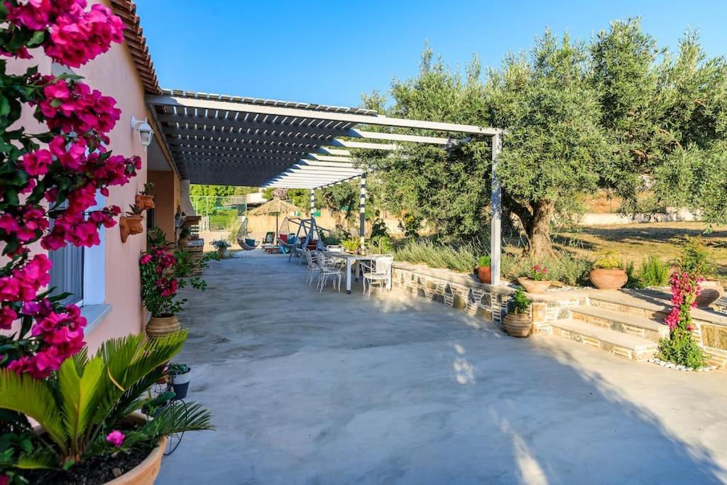 Skopelos Blue Heaven Pool Villa In Olive Grove Exterior foto